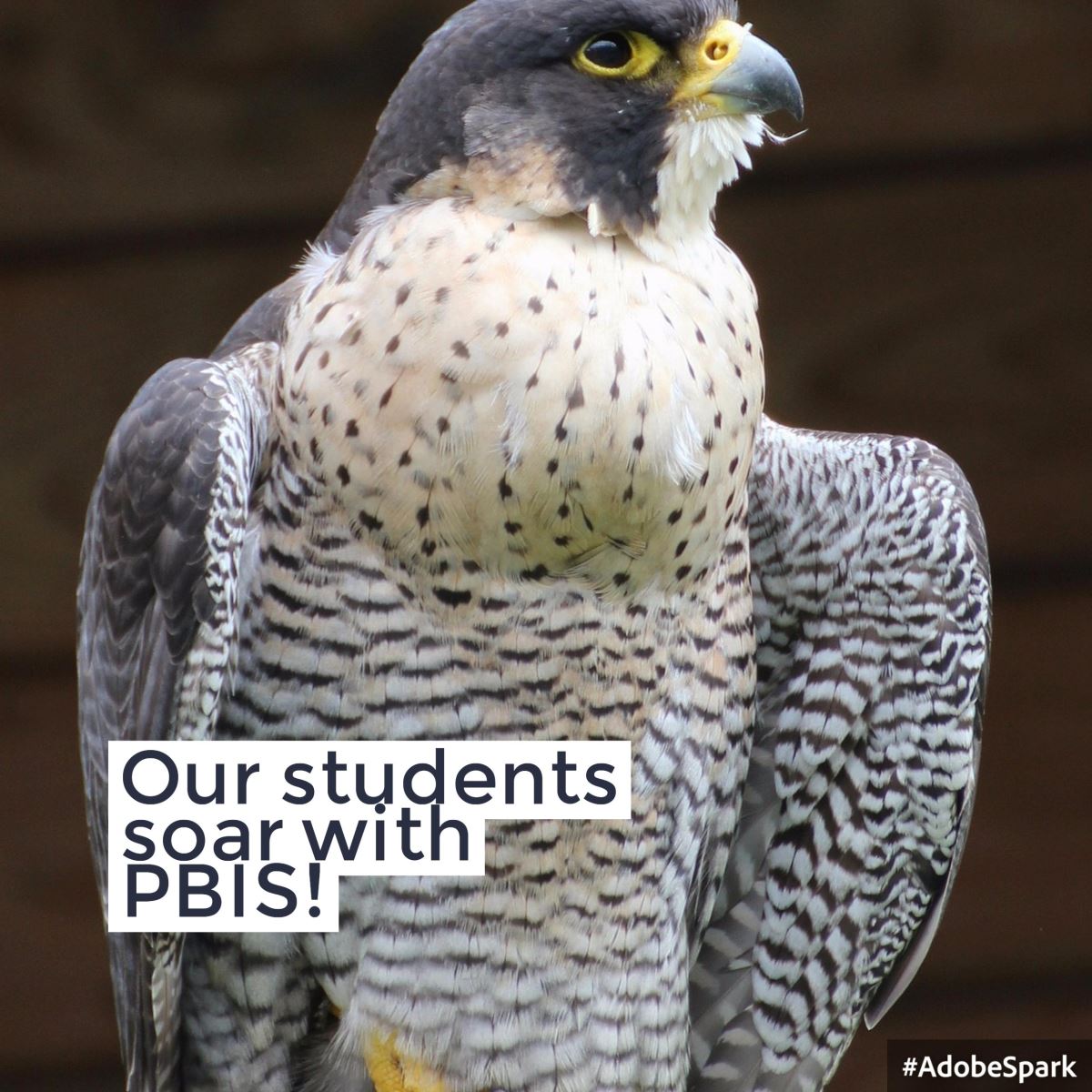 PBIS Logo with the message, "Our students soar with Positive Behavioral Intervention and Supports (PBIS)."